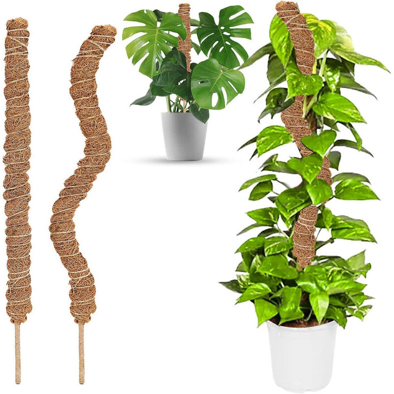 2 pcs Foldable Plant Stake, 60Cm Long Plant Stake Coco Climbing Plant Support, Climbing Plant Support For Monstera Plant