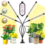 Plant Grow Light, 2020 New 80 LEDs 4 Heads Grow Lamp, Auto Timing - On/Off LED Grow Light For Seedlings, Succulents,