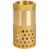 1 Inch Pump Check Valve - Foot Valve Strainer Check Valve (1 Inch)