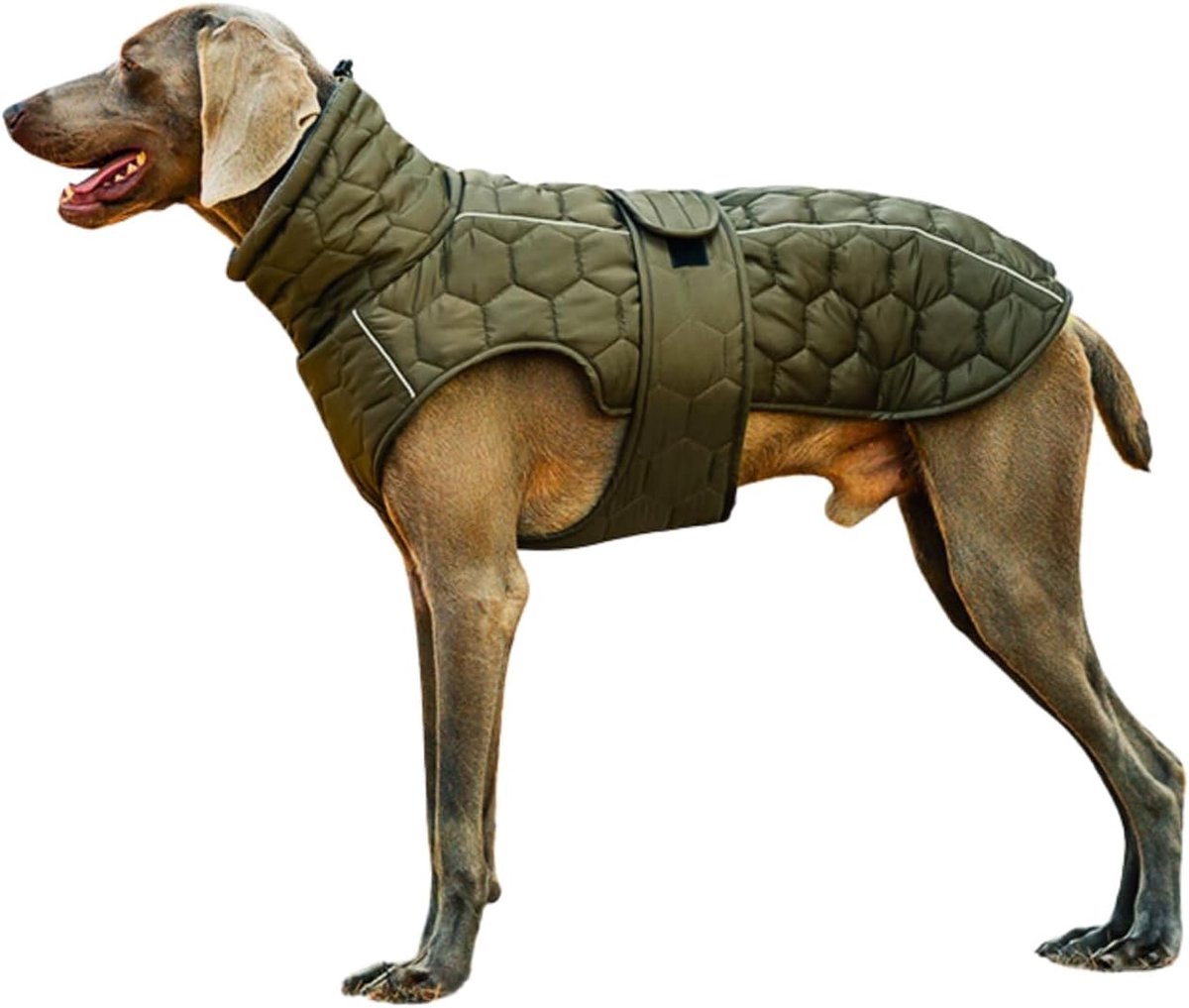 Dog Coat - Winter Dog Coat - Warm Dog Coat - Waterproof Dog Coat - Adjustable Reflective Coat - Velcro Design - Ideal for Medium-Sized Dogs - Size M - Green