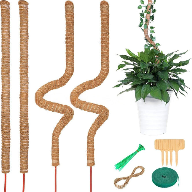 4 Bendable Moss Stakes for Climbing Plants, 100cm, Plant Support for Ivy and Monstera (4mm)