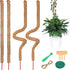 4 Bendable Moss Stakes for Climbing Plants, 100cm, Plant Support for Ivy and Monstera (4mm)