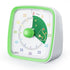 60 Minutes Visual Timer with Rainbow Pattern, Silent Flash Function, Adjustable Volume, Green