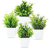 4-Pack Artificial Plants with Pot for Living Room and Office Decoration, 17x12 cm
