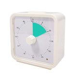60 Minute Visual Timer for Kids Learning Classrooms and Meetings, Adjustable Volume with Magnet, Green