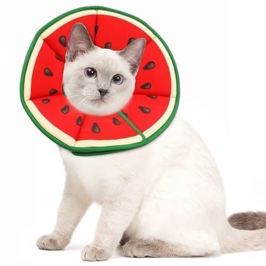 1x Adjustable Protective Collar for Cats and Dogs with Velcro, Compatible with Cats, S (RED)