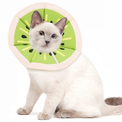 Adjustable Protective Collar for Cats and Dogs with Velcro, M, Green