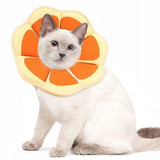 1 Adjustable Protective Collar for Cats and Dogs with Velcro, Compatible with Cats, M, Orange