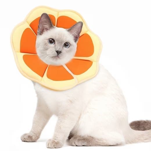 1 Adjustable Protective Collar for Cats and Dogs with Velcro, Compatible with Cats, M, Orange
