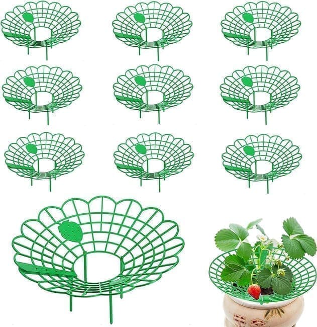 10-Pack Strawberry Holder Plant Support for Strawberries and Vegetables, 10.2 Inches