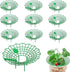 10-Pack Strawberry Holder Plant Support for Strawberries and Vegetables, 10.2 Inches