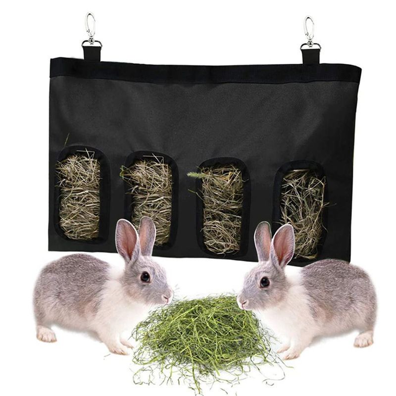 Coop & Hutch Accessories