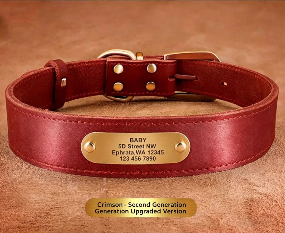 Premium Genuine Leather Dog Collar/Durable Real Leather Adjustable Collars For Male Female(XL,Red)