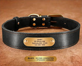 Premium Genuine Leather Dog Collar/Durable Real Leather Adjustable Collars For Male Female(XXL,Black)