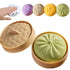 Giant Rainbow Dumpling Squishy with Steamer, Soft Squeezable Item, Green