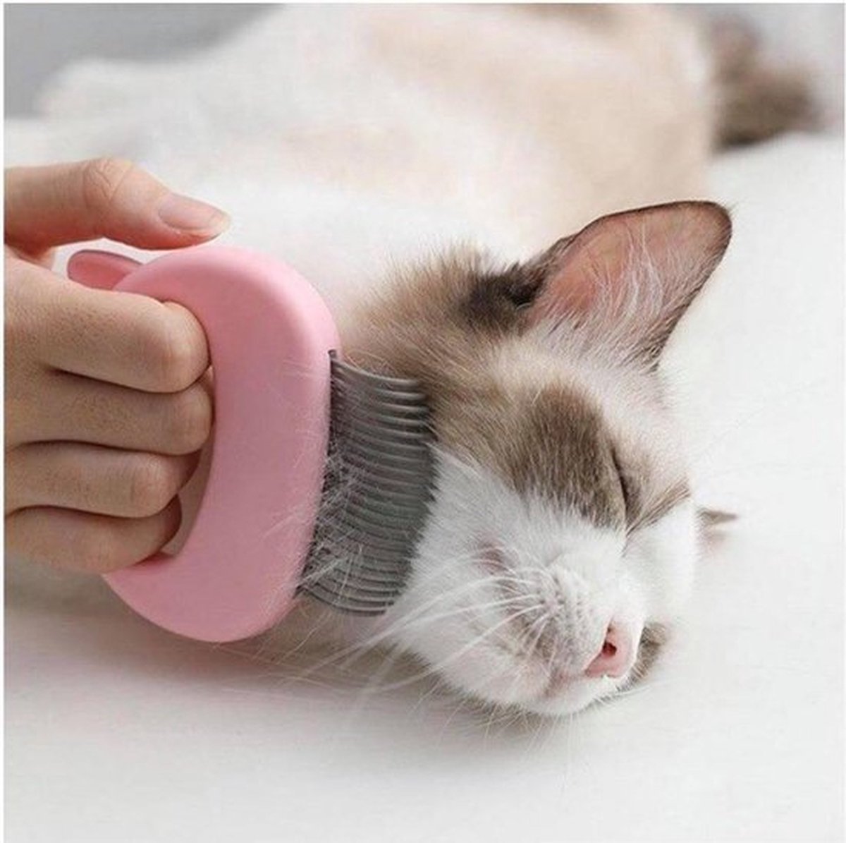 Cat Brush | Cat Comb | Lice Brush | Lice Comb | Elastic Teeth | Detangling Comb | Detangle & Remove Cat Hair | Pink