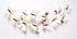 Wall Stickers Double Butterfly White 3D Wall Decoration Butterflies 12 Pieces - LeuksteWinkeltje