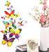 3D Wall Decoration Butterflies 12 Pieces | Wall Butterflies | Butterfly Wall Stickers | Rainbow