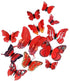 3D Wall Decoration Butterflies 12 Pieces | Wall Butterflies | Butterfly Wall Stickers | Red