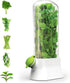 Herb Container - Herbs - Herb Jars - Fresh Keeper - Herb Vanilla Storage Container - BPA-Free - Keep Fresh - Coriander, Asparagus, Parsley and Mint - Free Herb Cutter - 27 Cm - Kitchen Tools - Reusable Fresh Herb Container