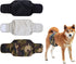 Dog Heat Pants - 3 Pieces - Dog Pants - Dog Diaper - Size L - Super Absorbent - Washable - Reusable - Prevents Unwanted Pregnancies in Female Dogs - Eco-Friendly - Perfect Fit - For Incontinence and Heat