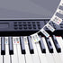 Piano/Keyboard Stickers - 88 keys - Removable Piano Key Stickers - piano stickers - Silicone - learn to play strip - Piano key stickers - Reusable - removable - with numbers - Easily Learn Music Notes - for beginners