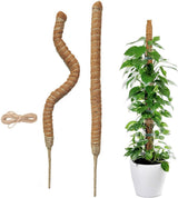 2 pieces - 60cm - Plant supports - Foldable plant support - Climbing plant stake - Monstera Stakes - Plant Stakes - for growing Monstera and other climbing plants - for supporting and guiding plant growth - brown