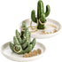 Two-Piece Jewelry Display Set - Aloe Vera and Cactus Ring Organizer Set - Ceramic - Jewelry Organizer - Bracelet, Earring, and Necklace Organizer with Leaf Decorations - Decorative Items