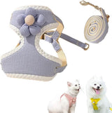 Dog Harness - Dog Harness - Dog Harness for Small Dogs - Anti-Pull Harness - Y-Shaped Harness - Pet Harness - Cat Escape Harness - Adjustable Harness for Small and Medium Dogs (Blue, Size M)