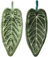 Towels - Towel Set - Soft, absorbent coral fleece kitchen and bathroom towels with hanging loops for easy dishwashing and hand washing - 2-pack (dark green, light green)