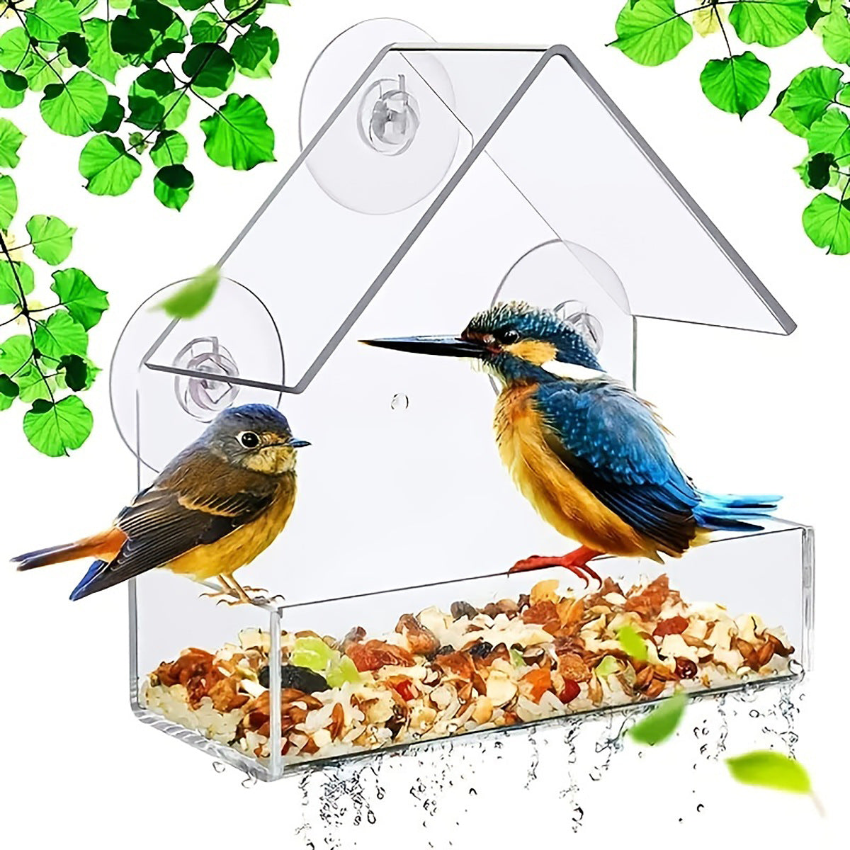 Transparent - House-shaped - Birdhouse - With weatherproof function