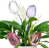 Automatic Watering Balls - 4 Pieces - Tulip-Shaped Automatic Watering Balls - Plant Waterers - Plastic Watering Balls - Suitable for Indoor and Outdoor Plants