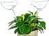 Self-watering globes, bird-shaped plant watering device, hand-blown, clear glass globe for indoor and outdoor plants, pack of 2