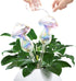 Plant Watering Balls - 2 Pack Self-Watering Planter Inserts, Plant Watering Devices, Glass Watering Balls for Houseplants, Mushroom Watering Balls, Top-Fill Watering Systems