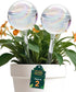 Iridescent self-watering balls, glass rainbow plant watering balls, self-watering planter insert, automatic indoor plant watering, plant watering devices, plant watering balls, watering ball