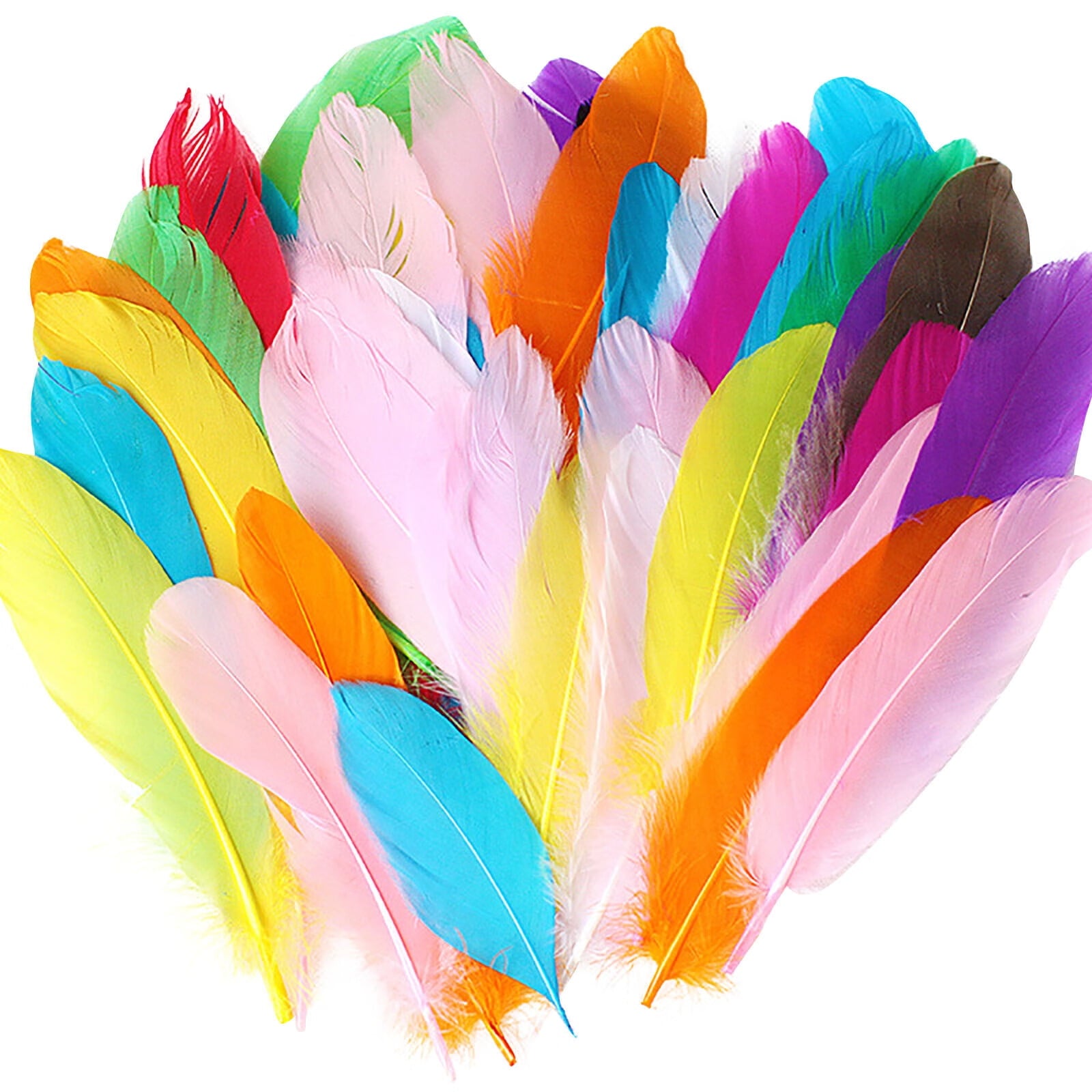 Coopserbil DIY Natural Colourful Craft Feathers (50 Count) One Size Colourful