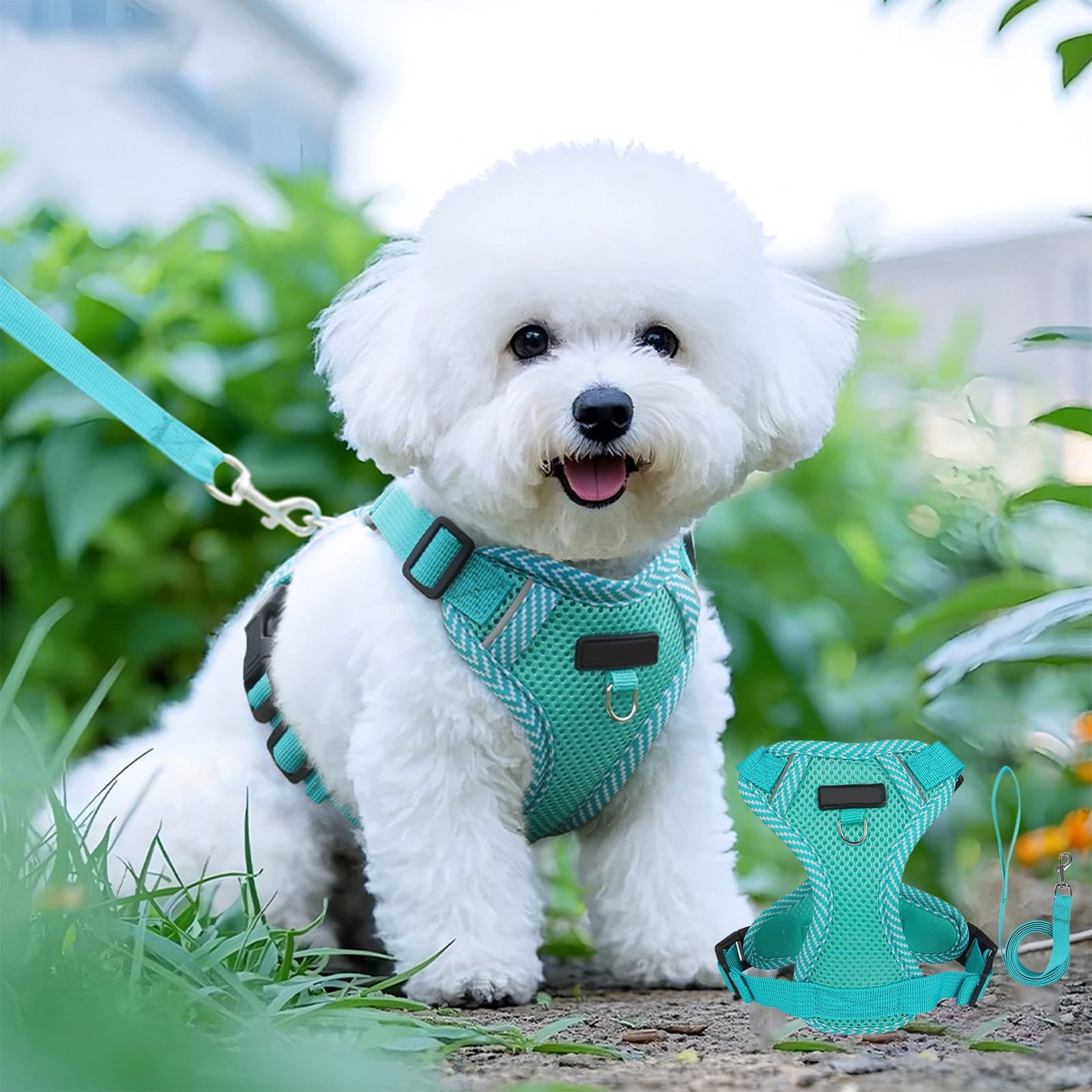 Tyidzon Small Dog Harness with Pet Lead, Puppy Harness Reflective Step-in Puppy Pet Harnesses for Small Medium Dogs and Cats Blue