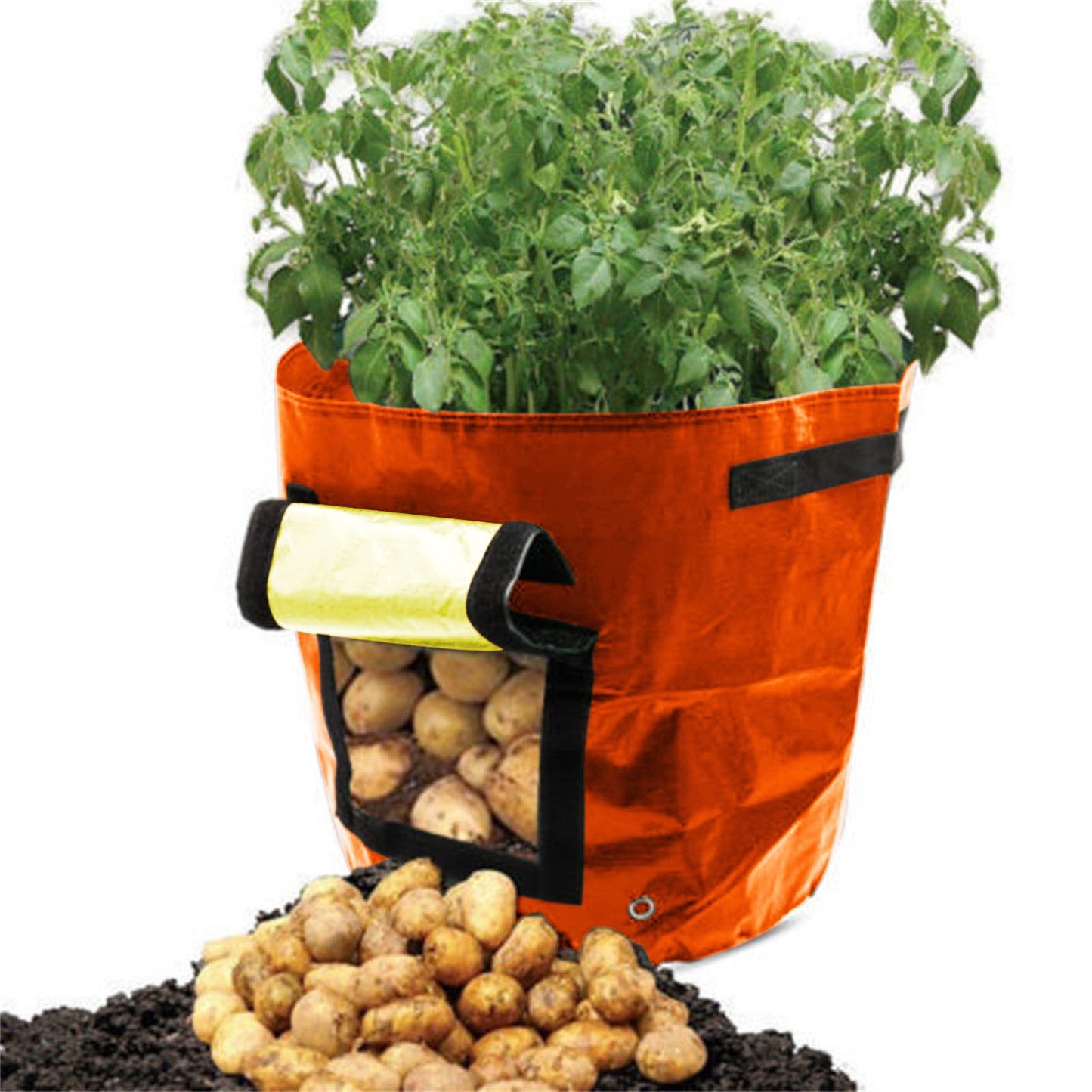 Suncoda Summer Savings 34x35cm Potato Grow Bag with Side Window & Handles 13" x 14" Gray#1