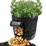 Suncoda Summer Savings 34x35cm Potato Grow Bag with Side Window & Handles 14" x 18" Gray#3