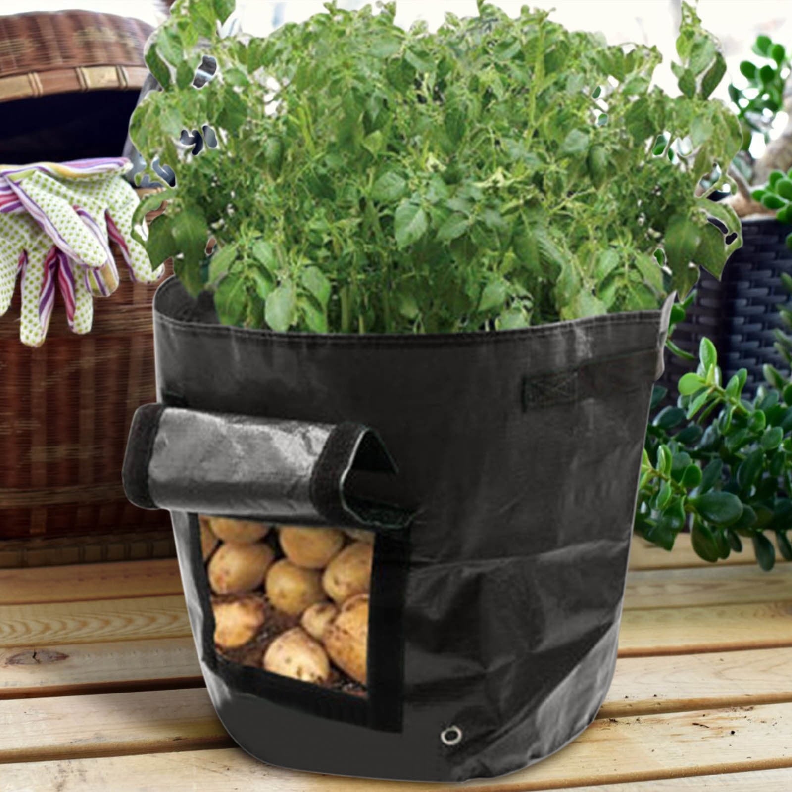 Suncoda Summer Savings 34x35cm Potato Grow Bag with Side Window & Handles 14" x 20" Gray#4