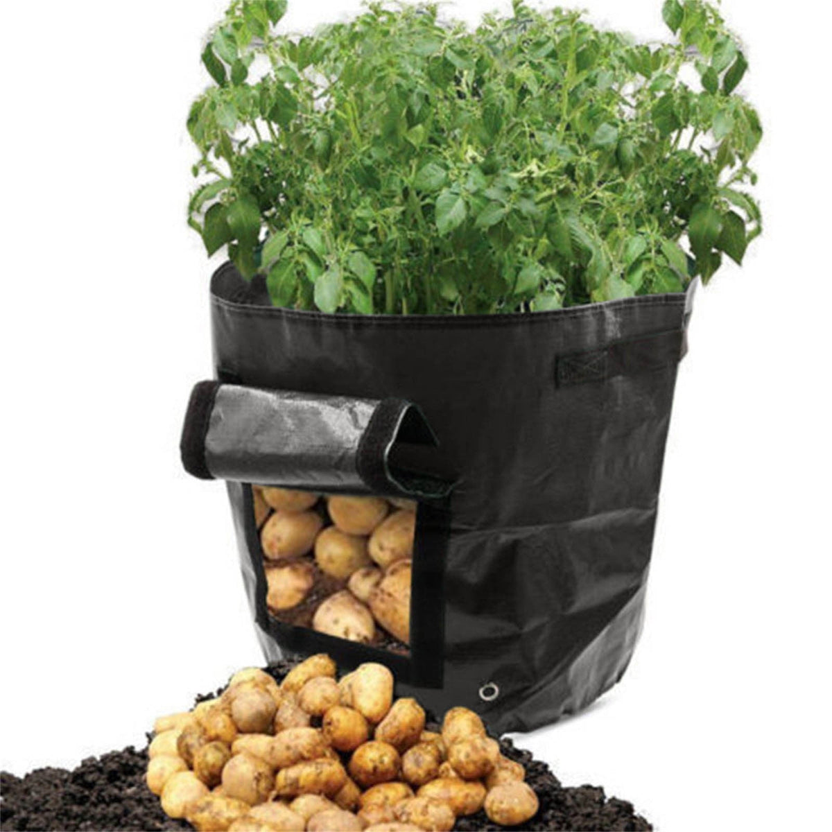 Suncoda Summer Savings 34x35cm Potato Grow Bag with Side Window & Handles 14" x 18" Orange#3