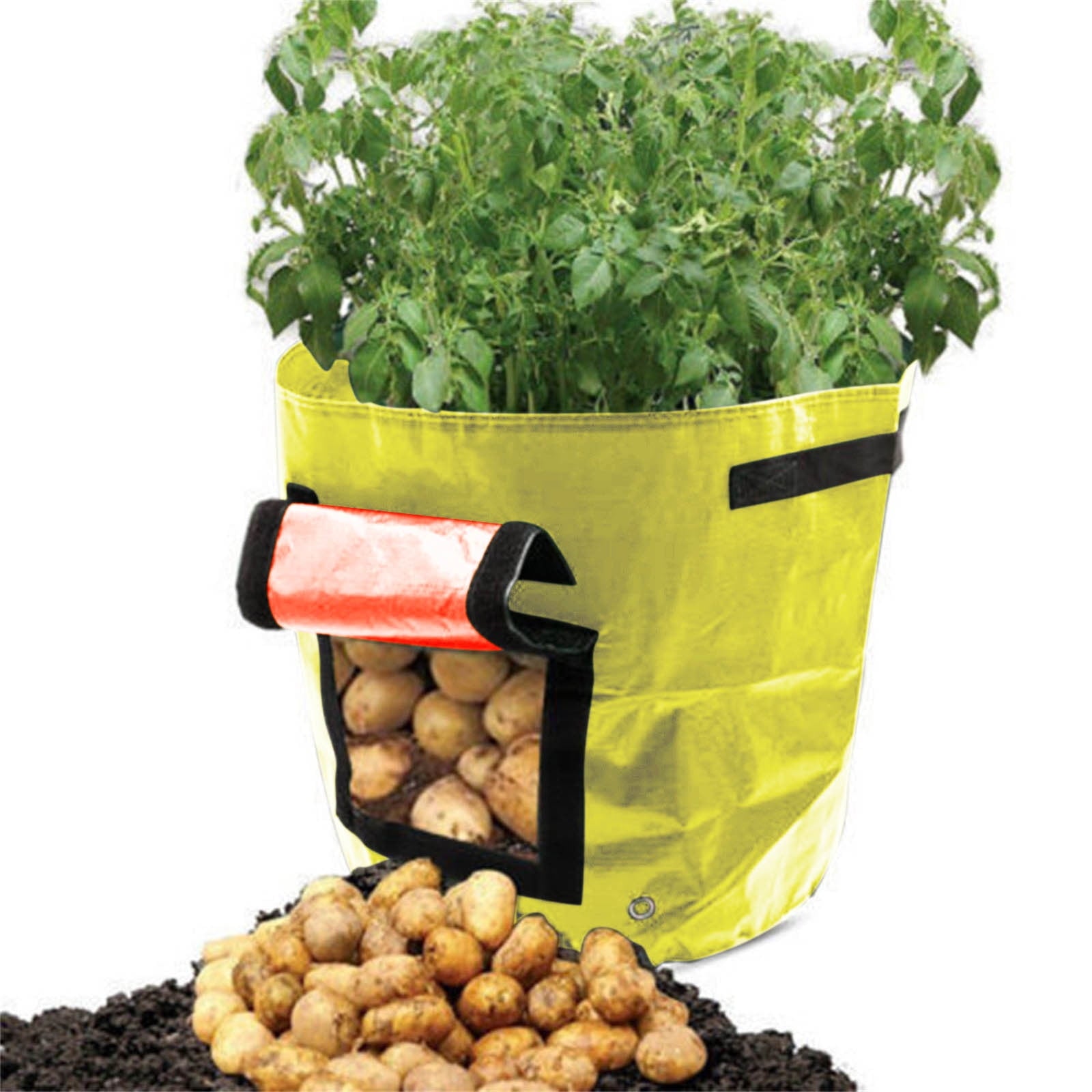 Suncoda Summer Savings 34x35cm Potato Grow Bag with Side Window & Handles 12" x 14" Yellow#2