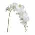 LGCASL Flowers Faux Butterfly Orchid 1 Pc Real Double Branch Silk Flowers for Wedding Home Office Party Hotel Yard Decoration Restaurant Patio Festive Furnishing, 1 Artificial Flower artificial flowers White