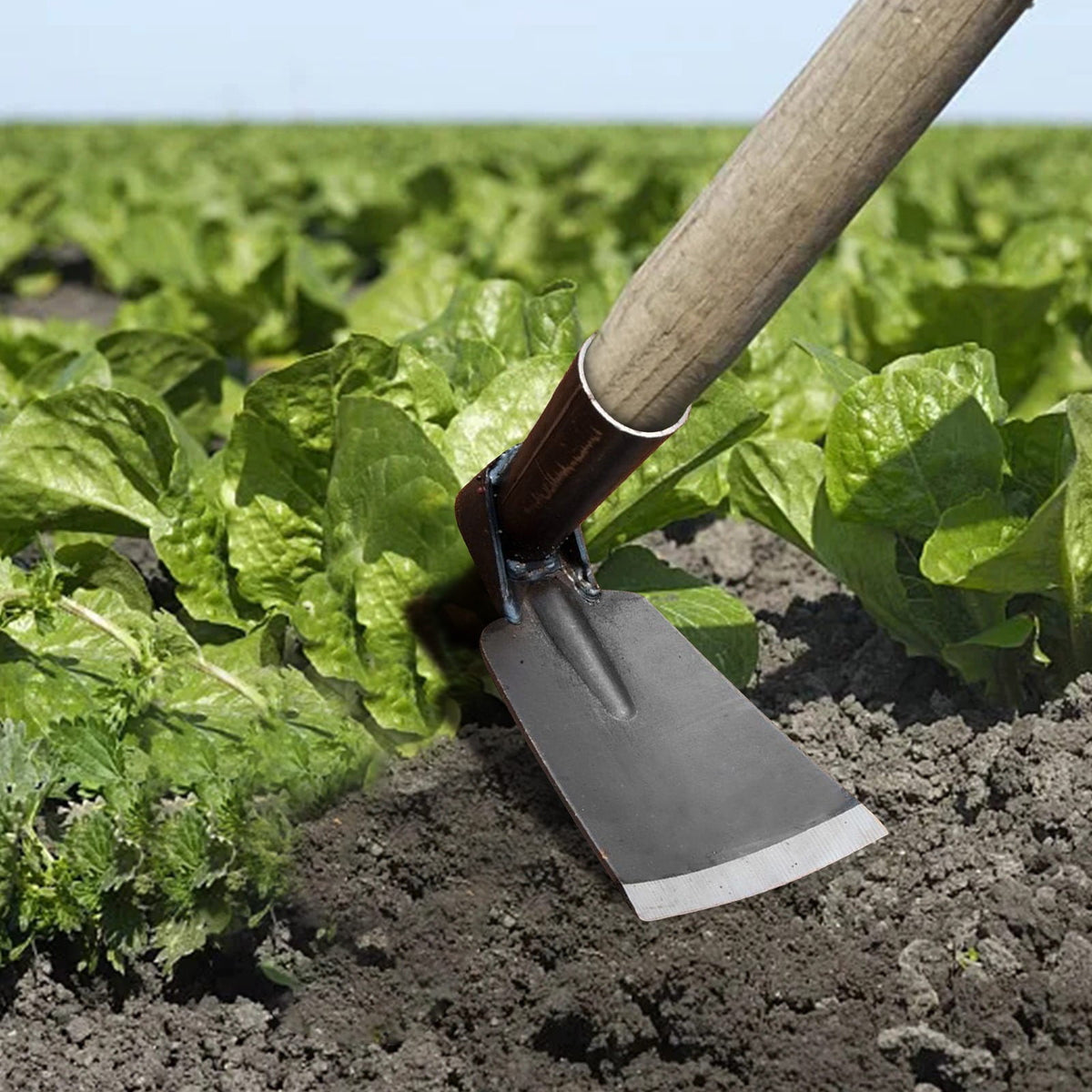 Cetilox Outdoor Hoe Garden Tool -Garden Hula Hoes for Weeding Gardening - Weeding Loop Stirrup Hoe for Planting Vegetables Flower Hoes - Planting Vegetables Flower Hoes Without handle A