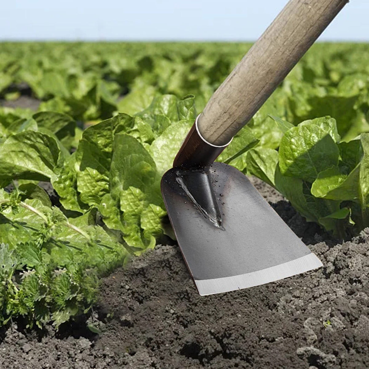 Cetilox Outdoor Hoe Garden Tool -Garden Hula Hoes for Weeding Gardening - Weeding Loop Stirrup Hoe for Planting Vegetables Flower Hoes - Planting Vegetables Flower Hoes Without handle B