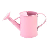 Cute Mini Watering Can for Kids,Garden Watering Bucket Colorful Watering Can Photo Props, Bulk Watering Kettle Kids Sprinkler Garden Planting Toy Pink
