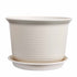 6 Inch Planter Nursery Pots, Plastic Planters Pots for Plants Flower Transplanting with Drainage Holes and Saucers, Beige, 6.06x4.25 6.06" x 4.25" Beige