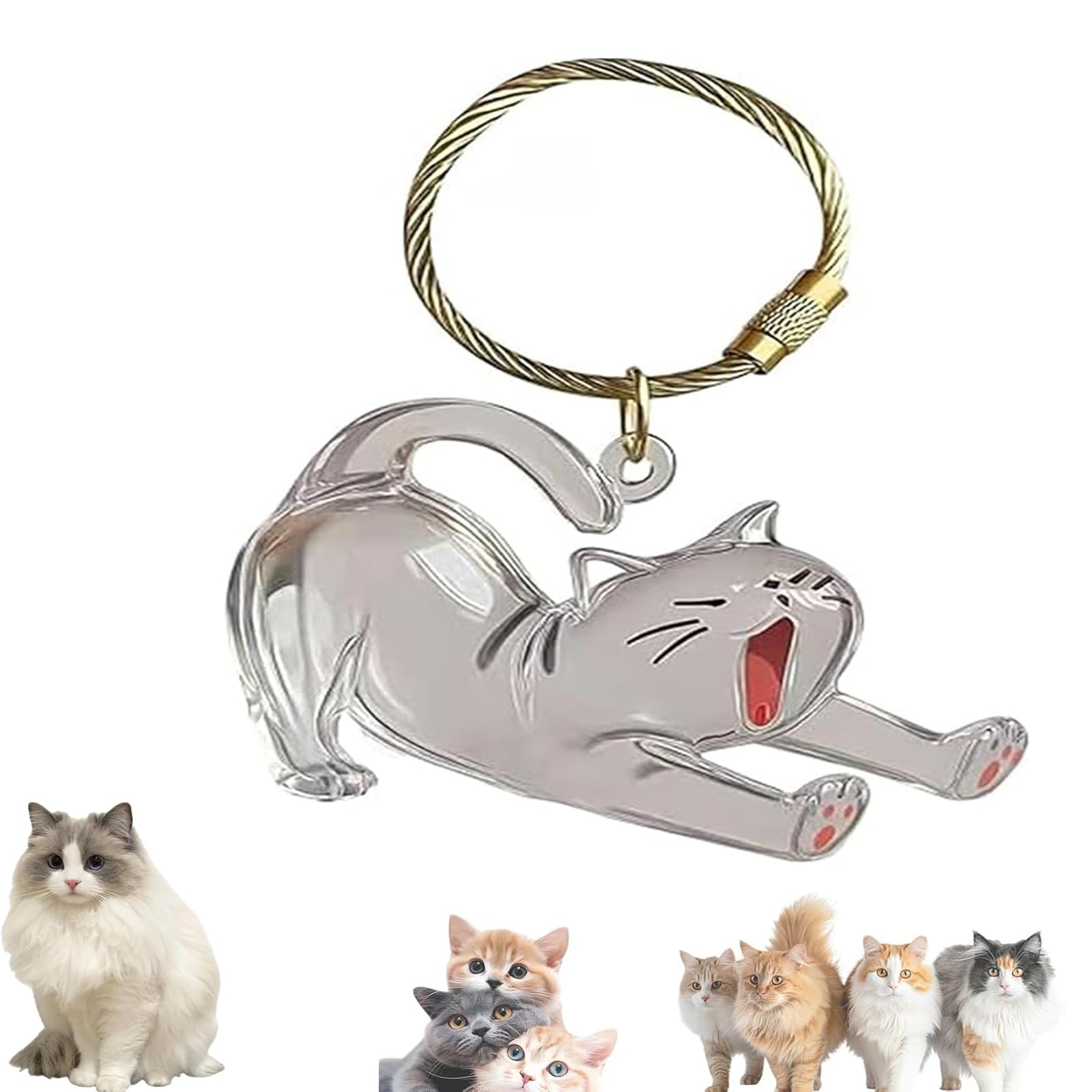 Keychain - Pet Hair - Storage Box - Pendants - Capsule Toy - Dog Hair Capsule - Memorial Pendant - Bag Keychain - Pendants - Memory Capsule Pendant - Cat Hair Collection - DIY - 1 Piece