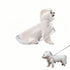 Dog Raincoat - Dog Raincoat - Waterproof Dog Coat - Transparent Rain Poncho - Dog Clothing - Rain Suit - Hooded Jacket - Dog Accessories - Walking Supplies - Dog Supplies - Outdoor Pet - Transparent - 1 Piece