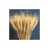 100 Pcs Natural Dried Wheat Stems Artificial Flower for DIY Decor